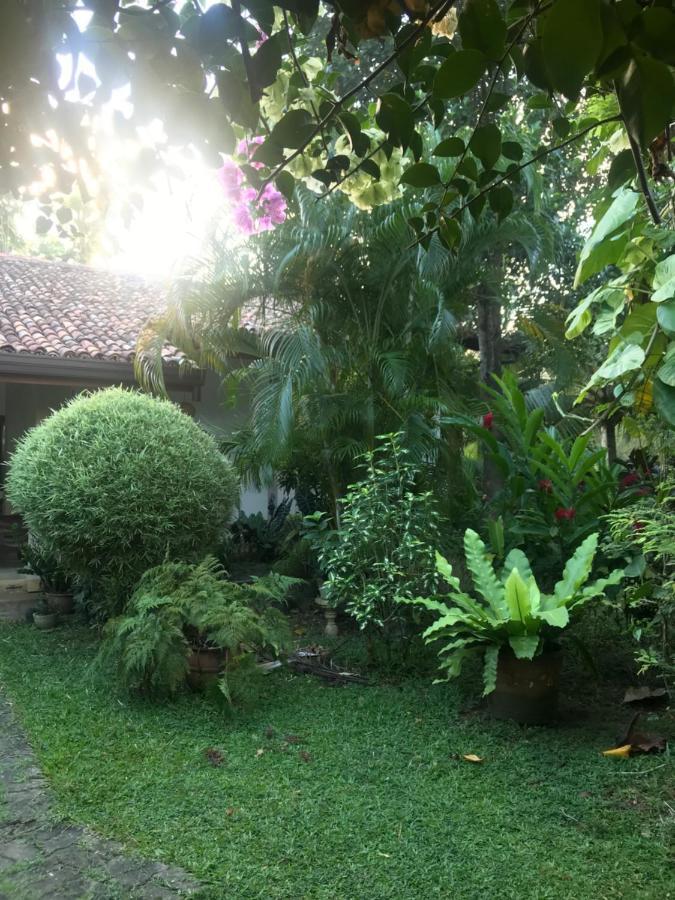 Tangalle Green House Exterior foto