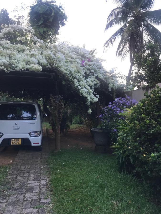 Tangalle Green House Exterior foto