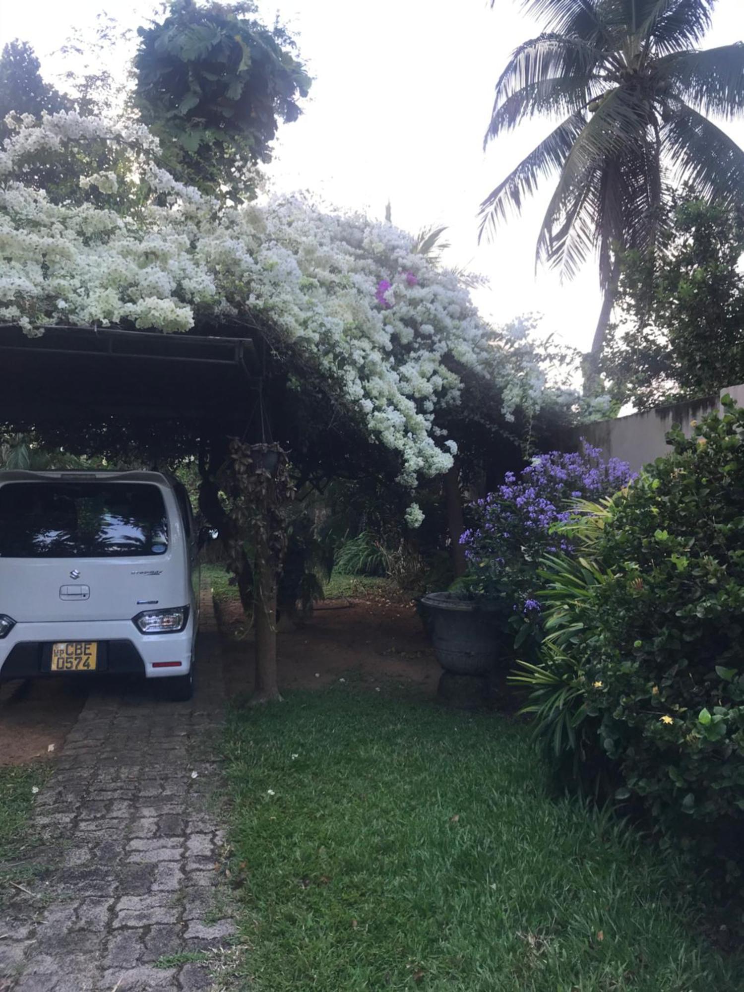 Tangalle Green House Exterior foto