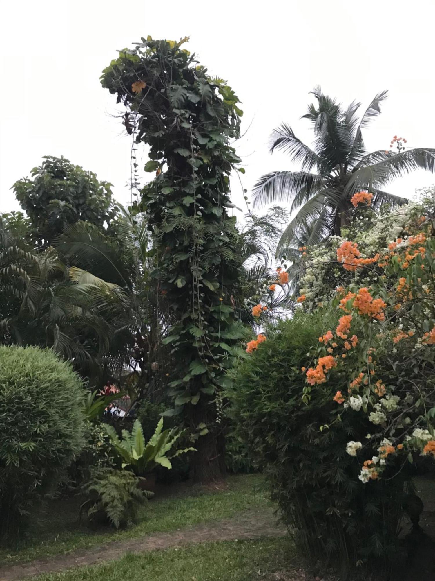 Tangalle Green House Exterior foto